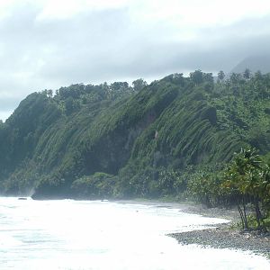 Windswept coastal forest, Rosalie, Dominica