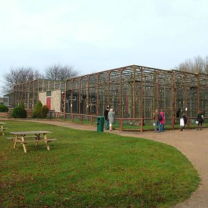 Gibbon House at Twycross Nov 08