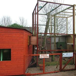 Coati enclosure at Gentleshaw Nov 08