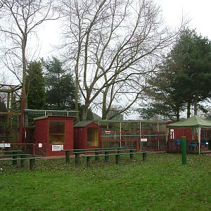 Enclosures at Gentleshaw Nov 08