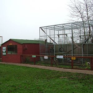 Rhesus Macaque enclosure at Gentleshaw Nov 08