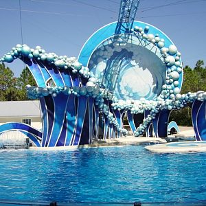 Blue Horizons Stage - Whale & Dolphin Theatre