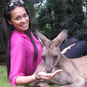 Kangaroo Hand Feeding