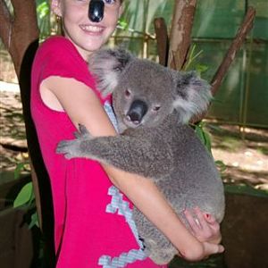 Koala Holding