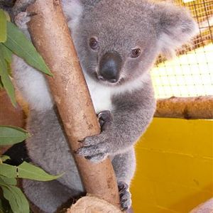 Cooberrie Park Wildlife Sanctuary