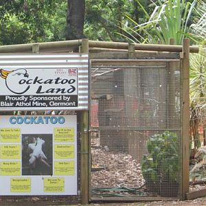 Cockatoo Enclosure Side View