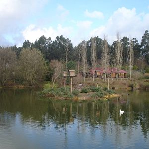 Lake Viewing at Zoo Santo Inacio, 30/12/12