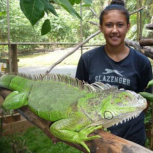 Official South American Opening January 1st 2013