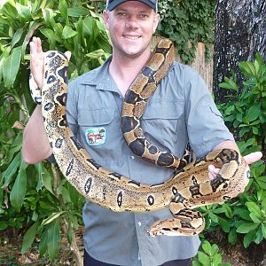 Official South American Opening January 1st 2013