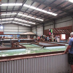 View of half the complex