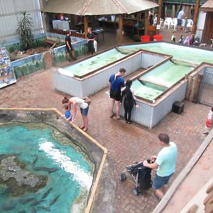 Overview of smaller tanks/pools