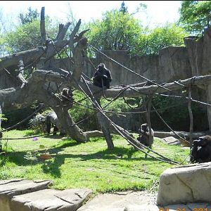 Apr. 2011-Jomo + Bakari + Muke + Samantha + M'linzi