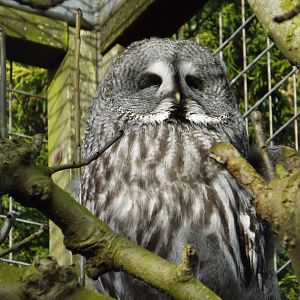 Colchester Zoo 04/01/13