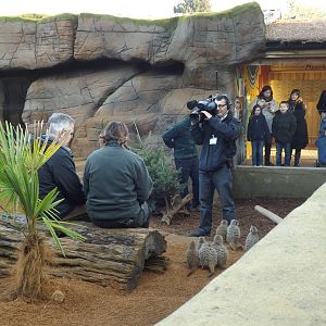 Colchester Zoo 04/01/13