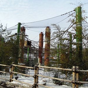 Tam-ring Gibbon Reserve