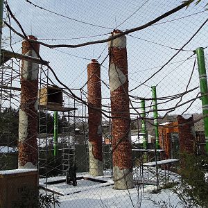 Tam-ring Gibbon Reserve