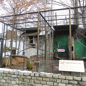 Peregrine Falcon & Great Horned Owl Exhibits
