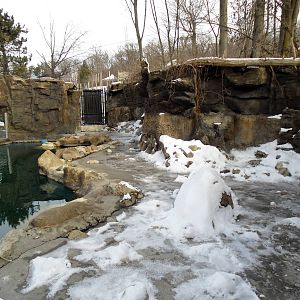 African Penguin Exhibit