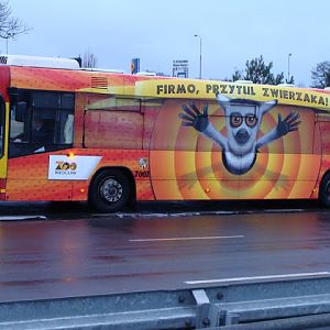 Advertisement Zoo on vehicles of the public transport