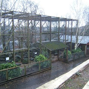 View of Snow Leopard enclosure