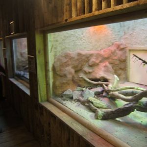 View of the inside of the re-furbed Reptile House