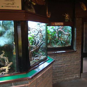 View inside of the Reptile House