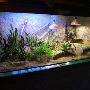 View inside of the Reptile House