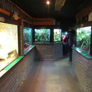 View inside of the Reptile House