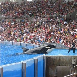 Aug. 2010-Believe-Kalina