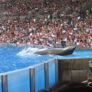 Aug. 2010-Believe-Malia