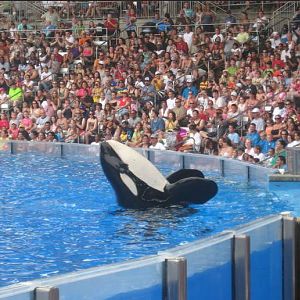 Aug. 2010-Believe-Kalina