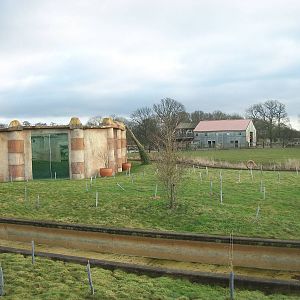 The Lost Kingdom 4th January 2013