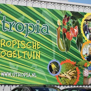 out-side wall next to the entrance