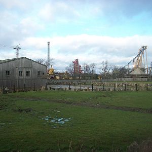 Second Giraffe House 4th January 2013