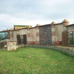African Spurred Tortoise exhibit (front), Lions (rear) 4th January 2013