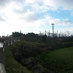 Looking back towards the wading birds aviary 4th January 2013