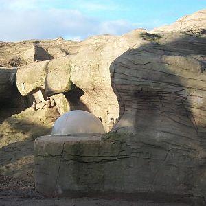 Children's Planet 4th January 2013