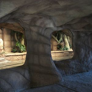 New reptile exhibit 4th January 2013