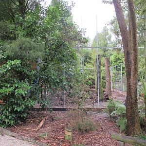 New Kakariki Aviary - Otorohanga Kiwi House Dec 2012