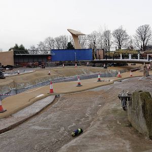 Penguin Pool Renovations - 24/11/2012