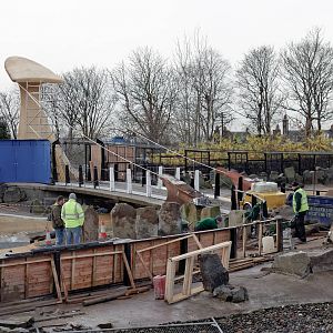 Penguin Pool Renovations - 24/11/2012