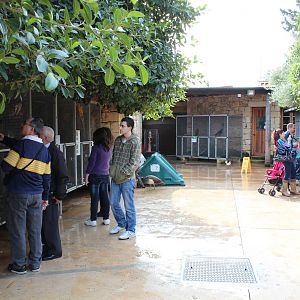 Bird Park Malta - Enclosures in Entrance Area