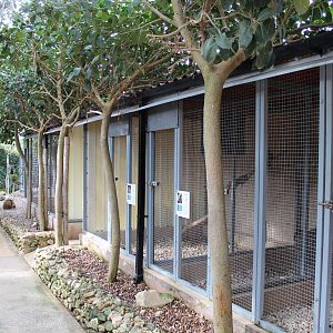 Bird Park Malta - Enclosures