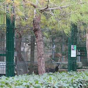 Bird Park Malta - Blackbuck Enclosure