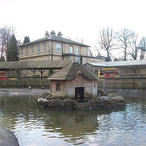 Duck Pond and beyond 4th January 2013
