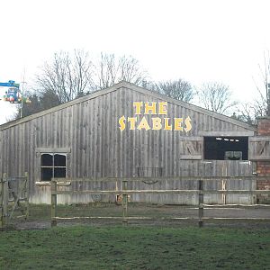 Where the Dolphins dived 4th January 2013