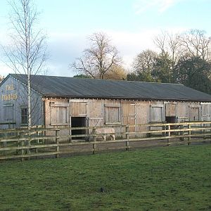 Where the Dolphins dived 4th January 2013