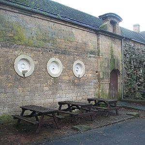 Where the Puma prowled 4th January 2013