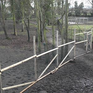 That fence was not there last week II 4th January 2013