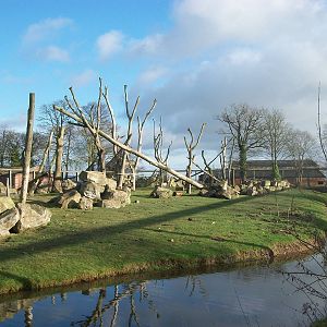 Baboon Island 4th January 2013